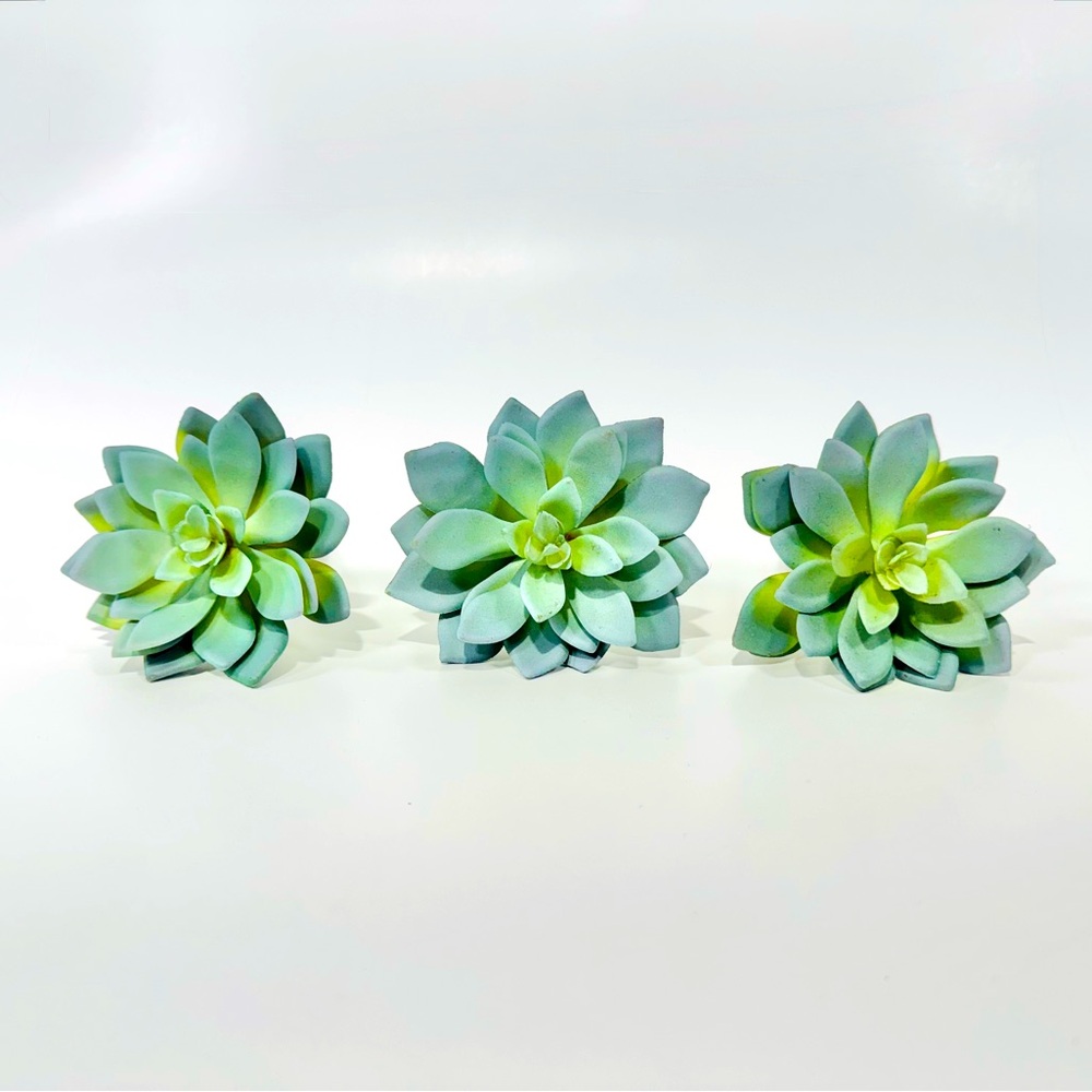 Faux Succulents (3x)